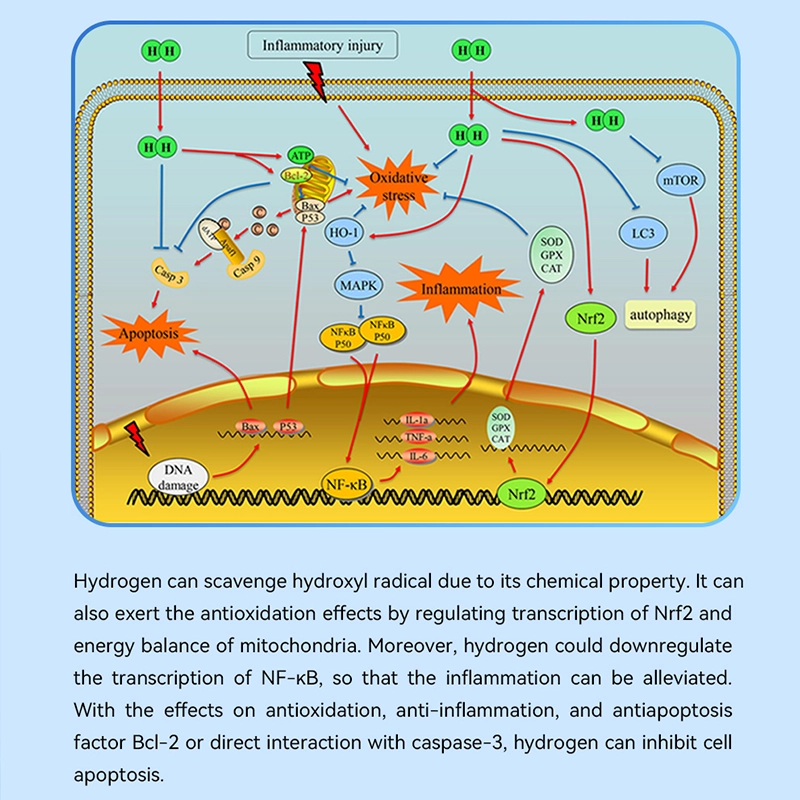 portable hydrogen inhaler hydrogen therapy