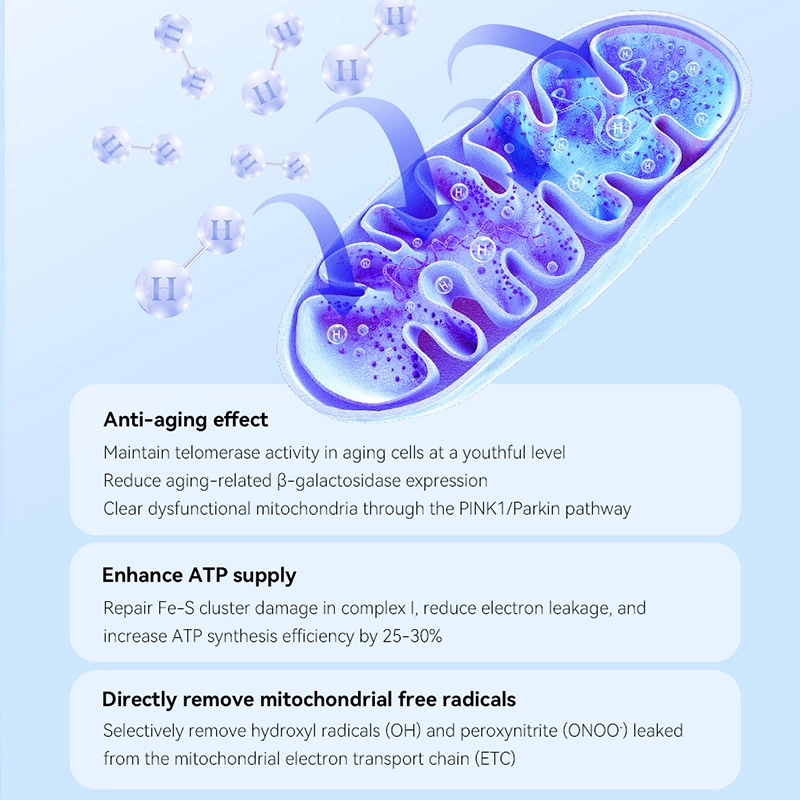 hydrogen inhalation machine hydrogen inhalation therapy home hydrogen inhalation machine hydrogen inhalation device portable hydrogen inhaler hydrogen therapy molecular hydrogen inhaler benefits of hydrogen inhalation how to use a hydrogen machine  Hydrogen Inhaler Portable Hydrogen Inhaler Hydrogen Oxygen Machine Molecular Hydrogen Therapy Machine Hydrogen Generator for Inhalation Health Hydrogen Therapy Benefits Hydrogen Inhalation for COPD Hydrogen for Cancer Support Hydrogen Therapy for Arthritis Hydrogen Inhaler for Anti-Aging 99.99% Pure Hydrogen Inhaler 1800ml/min Hydrogen Flow Rate Explosion-Proof Hydrogen Inhaler PEM Electrolysis Hydrogen Machine Quiet Hydrogen Inhaler for Home Purchase Decision & User Intent Best Hydrogen Inhaler 2025 Reviews Hydrogen Inhaler Price Comparison Where to Buy Hydrogen Inhaler Hydrogen Inhaler Warranty Nanobubble Hydrogen Inhaler Hydrogen Inhaler with Nebulizer Hydrogen Oxygen 2:1 Ratio Machine Smart Hydrogen Inhaler APP Control Hydrogen Inhaler for Athletic Recovery Hydrogen Inhaler China Manufacturer CE Certified Hydrogen Inhaler Hydrogen Inhaler Wholesale hydrogen inhalation machine Hydrogen Inhaler Wholesale 