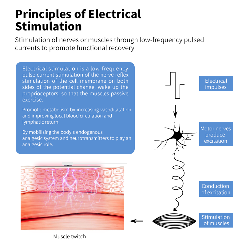 Phototherapy Ultrasound and Electrical Stimulation Portable Handheld Laser Therapy Device